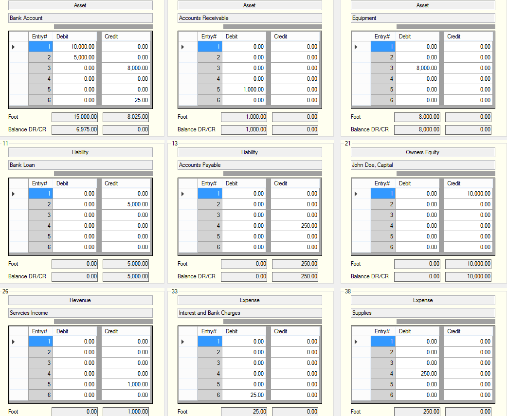 T-Accounts Display